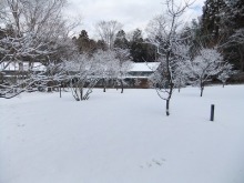 とらや工房の店員ブログ-雪②